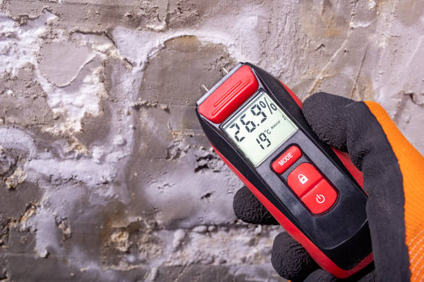 Home Mold Removal in Manito, IL