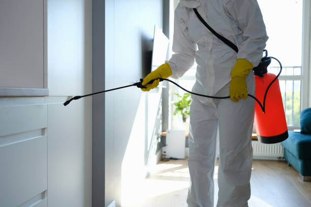 Best Mold Testing  in Manito, IL
