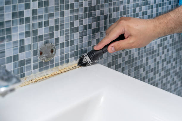 Best Commercial Mold Removal  in Manito, IL