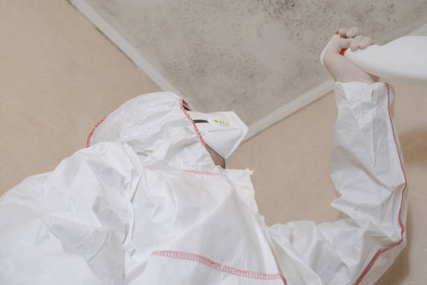 Best Professional Mold Removal  in Manito, IL